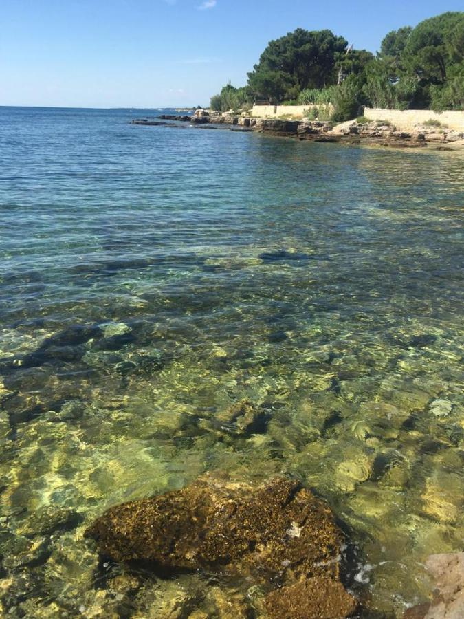 Valentina Apartment Novigrad  ภายนอก รูปภาพ