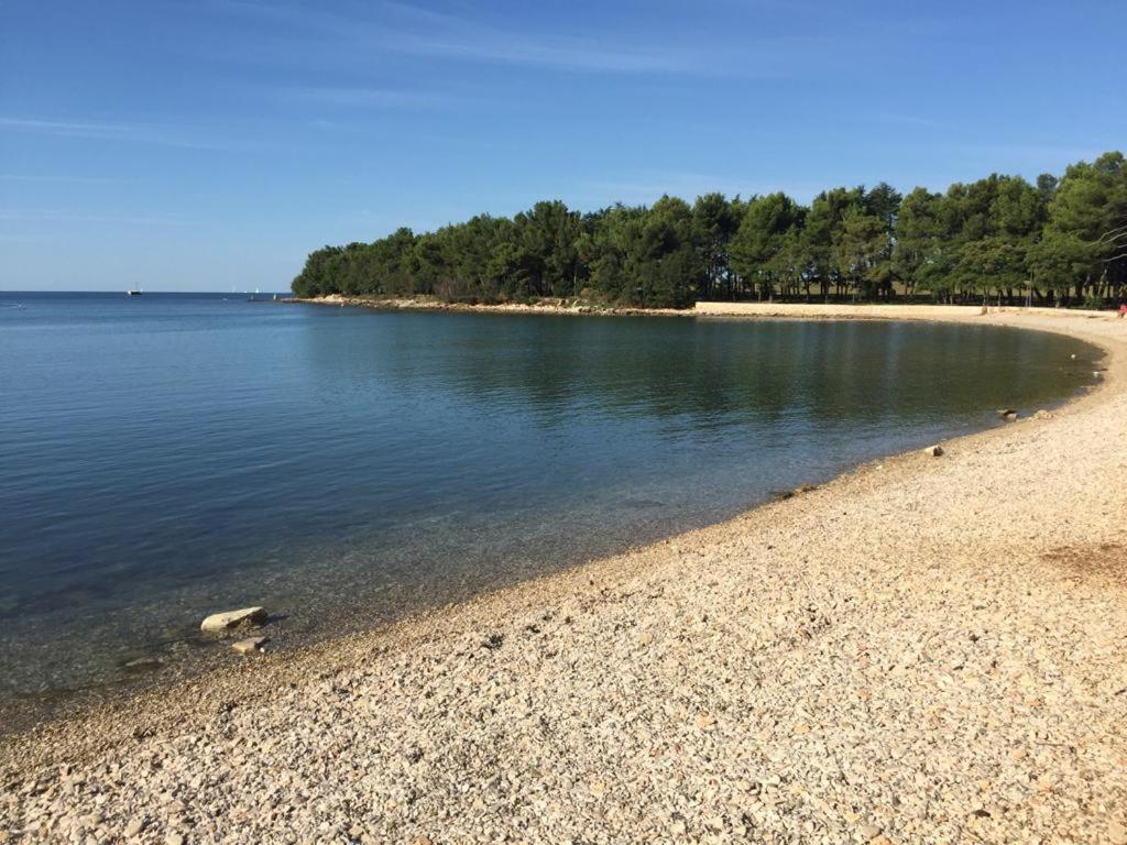 Valentina Apartment Novigrad  ภายนอก รูปภาพ