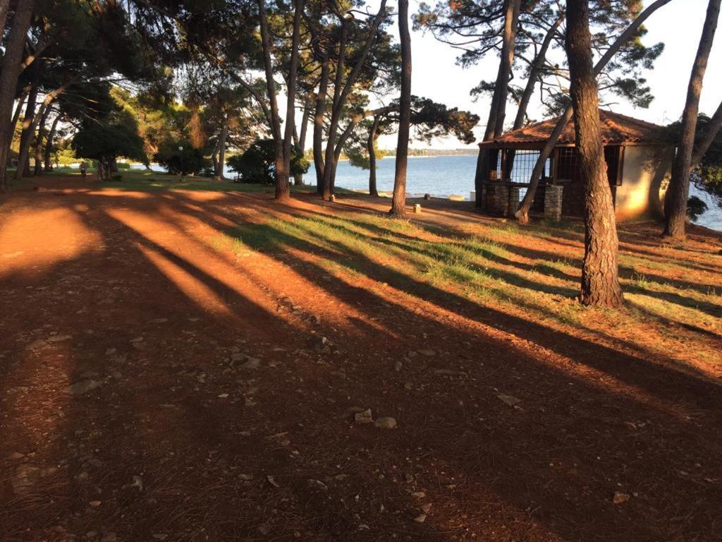 Valentina Apartment Novigrad  ภายนอก รูปภาพ